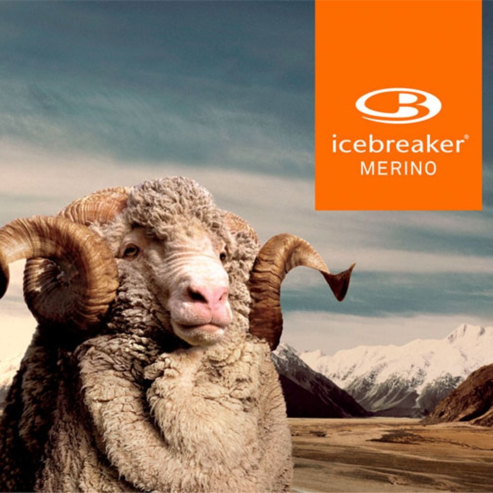 Original Icebreak Merino Wool Coat